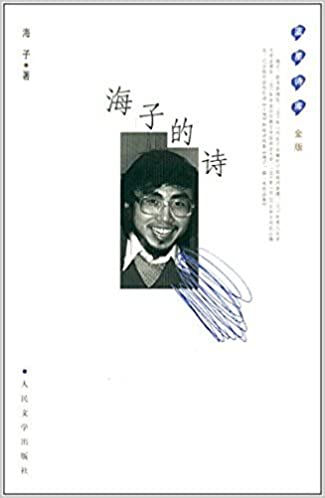 读不懂的海子的诗 封面